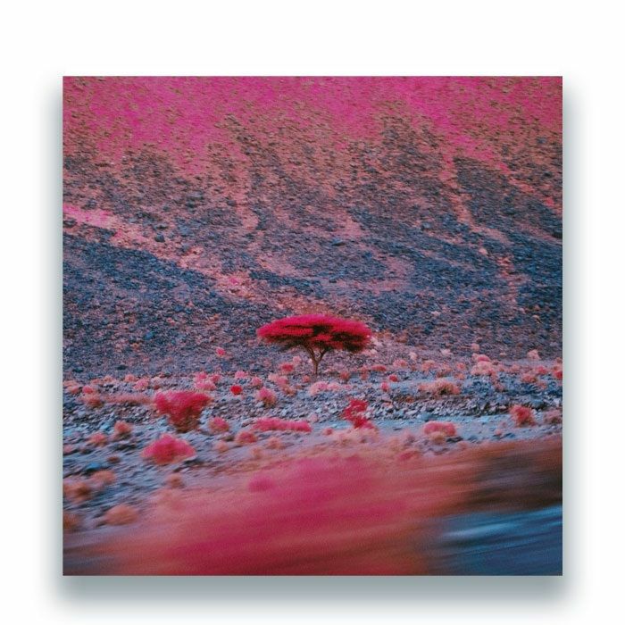 O'FLYNN – Kairos (2xLP, Panthus, 2026) Front Cover