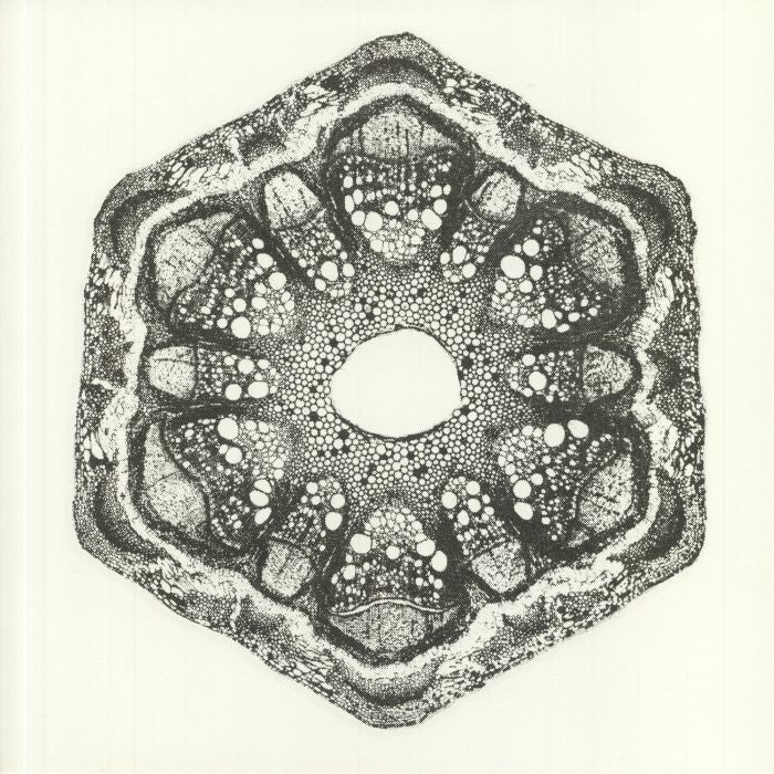 Odd Lust – Wild Qualia (12", The Trilogy Tapes, 2020) Front Cover