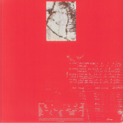 OK EG – Silent Green (12", Cirrus, 2025) Back Cover