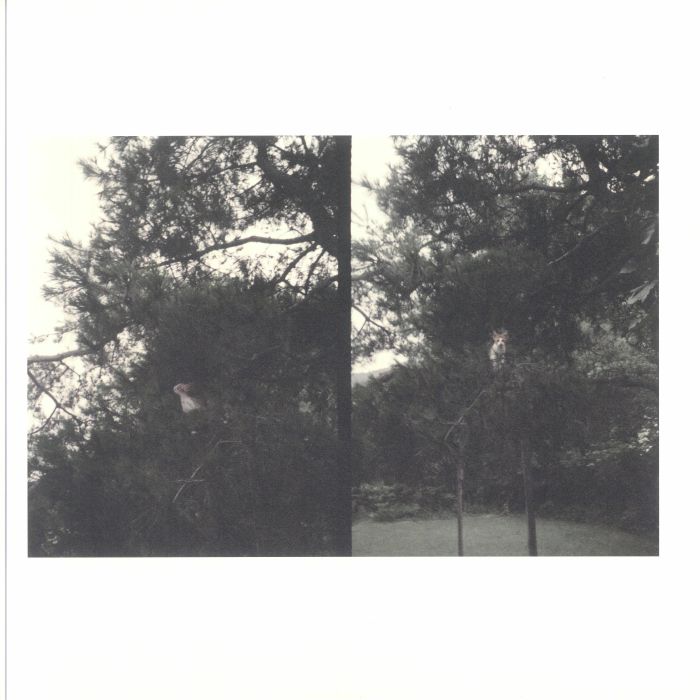 Okkyung Lee – Just Like Any Other Day (어느날): Background Music For Your Mundane Activities (LP, Shelter Press, 2025) Front Cover