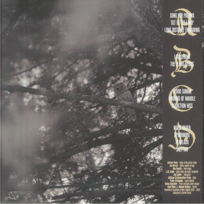 Old Saw – The Wringing Cloth (2xLP, Lobby Art Records, 2025) Back Cover