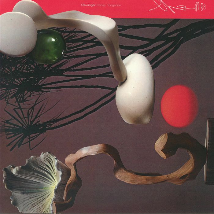Olsvanger – Honey Tangerine (LP, Oath, 2026) Front Cover