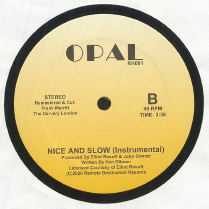 Opal – Nice And Slow (12", Remote Destination, 2026) Back Cover