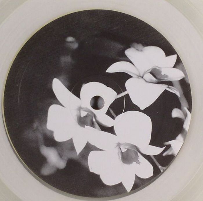 Ovatow – Phalaenopsis (12", Yellow, Transparent, Frantic Flowers, 2007) Front Cover
