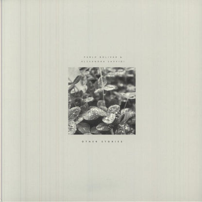 Pablo Bolivar , Alexandra Savvidi – Other Stories (LP, Seven Villas, 2025) Front Cover