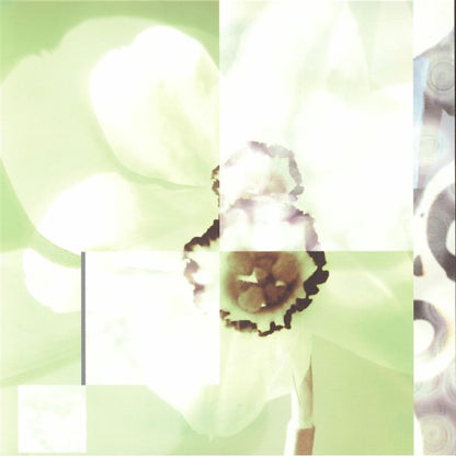 Pablos Eye – Everything You Give Away (LP, limited to 300 copies, Stroom, 2026) Front Cover