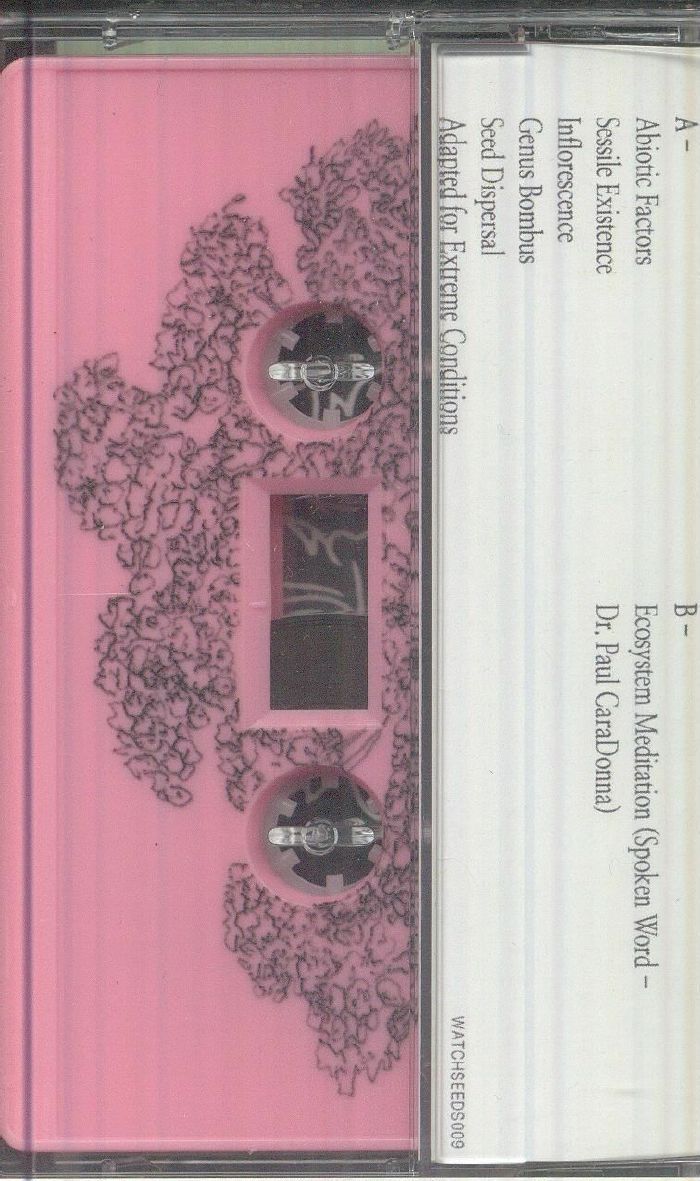 Patricia Wolf – Music To Watch Seeds Grow By 009: Patricia Wolf (Yarrow) (Cassette, Music To Watch Seeds Grow By, 2026) Back Cover