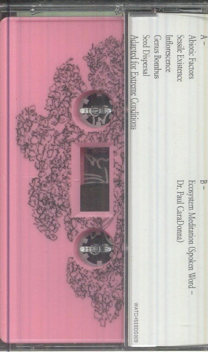 Patricia Wolf – Music To Watch Seeds Grow By 009: Patricia Wolf (Yarrow) (Cassette, Music To Watch Seeds Grow By, 2026) Back Cover