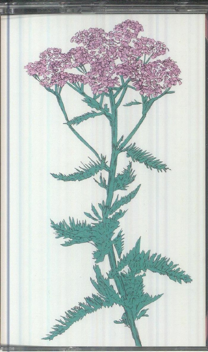 Patricia Wolf – Music To Watch Seeds Grow By 009: Patricia Wolf (Yarrow) (Cassette, Music To Watch Seeds Grow By, 2026) Front Cover
