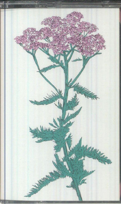 Patricia Wolf – Music To Watch Seeds Grow By 009: Patricia Wolf (Yarrow) (Cassette, Music To Watch Seeds Grow By, 2026) Front Cover