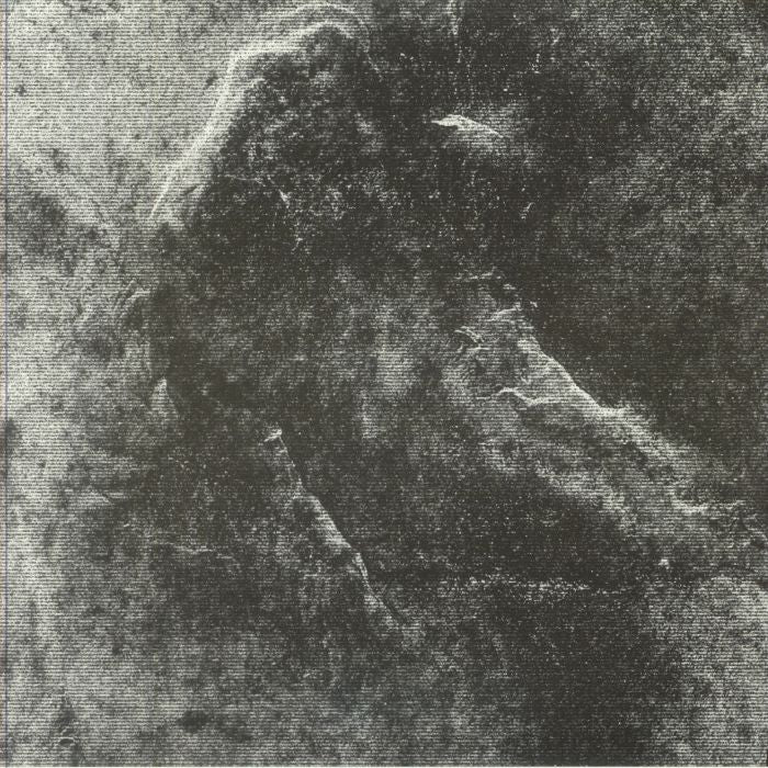 Paulitical – Basement Exiles (12", Diffuse Reality, 2026) Front Cover