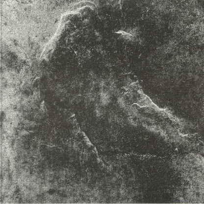 Paulitical – Basement Exiles (12", Diffuse Reality, 2026) Front Cover
