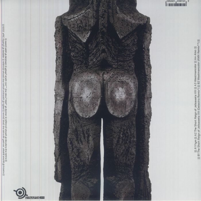 pdqb – Future Traumatic Stress Disorder (12", Silver w/ Black Splatter, Synaptic Cliffs, 2026) Back Cover