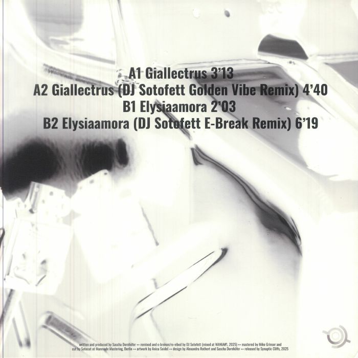 pdqb – Maximalism (12", Synaptic Cliffs, 2025) Back Cover