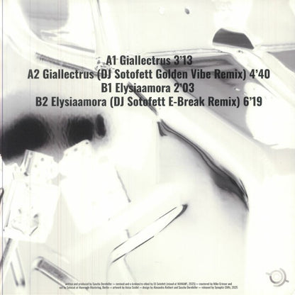 pdqb – Maximalism (12", Synaptic Cliffs, 2025) Back Cover