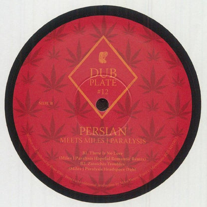 Persian – Persian Meets Miles J Paralysis (12", Mysticisms, 2026) Back Cover