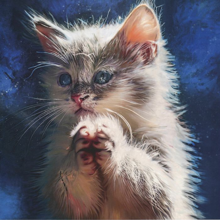 Perzeptiverdampfkesselqualmtbesinnlich – Pussy Disco: The Sunrise Sessions (2x12", Blue & Clear w/ Black Splatter, Synaptic Cliffs, 2026) Front Cover