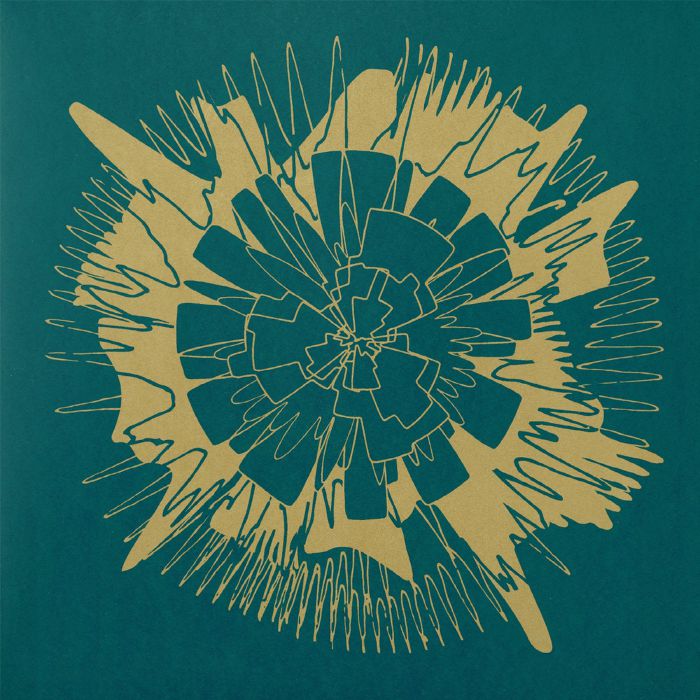 phase space – Degrees of Freedom (2x12", Phase Space, 2025) Front Cover