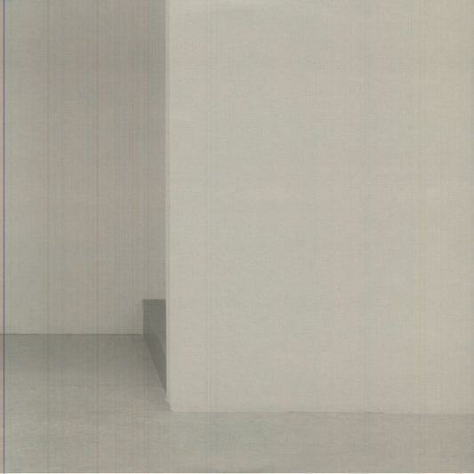 Philipp Priebe – Until The End (2x12", Purple, Paradijs Boogie, 2025) front cover