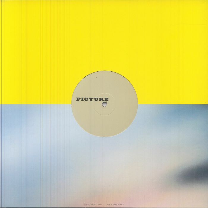 Picture – Eeeeeeee (2x12", Short Span, 2026) Back Cover