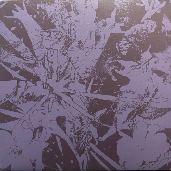 Plants Heal – Forest Dwellers (LP, Quindi Records, 2025) image 01