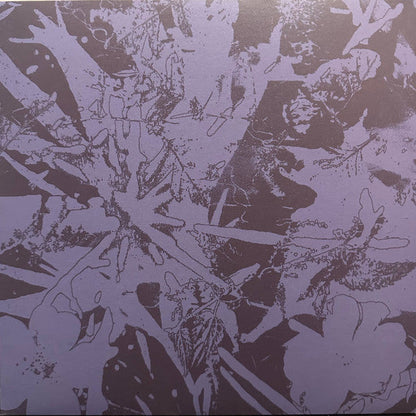 Plants Heal – Forest Dwellers (LP, Quindi Records, 2025) image 01