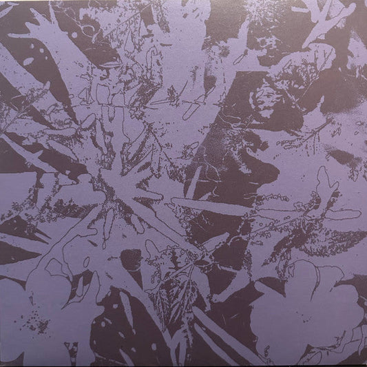 Plants Heal – Forest Dwellers (LP, Quindi Records, 2025) image 01