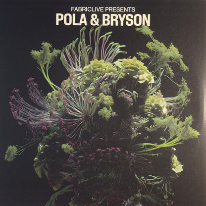 Pola & Bryson – Fabriclive Presents Pola & Bryson (2xLP, Fabric, 2025) image 02