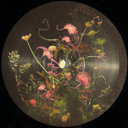 Pola & Bryson – Fabriclive Presents Pola & Bryson (2xLP, Fabric, 2025) image 04