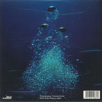 Porter Ricks – Porter Ricks (2x12", Mille Plateaux, 2022) Back Cover