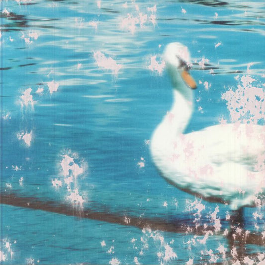 PVAS – Slipstream (12", Kapsela, 2025) front cover