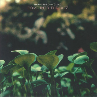 Raffaele Ciavolino – Come Into The Jazz (2x12", Groove Culture Deep, 2026) Front Cover
