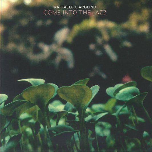 Raffaele Ciavolino – Come Into The Jazz (2x12", Groove Culture Deep, 2026) Front Cover