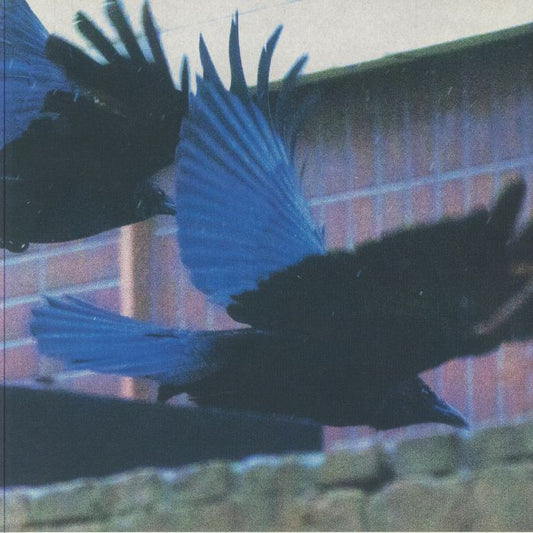 Rain Text – III (LP, Sagome, 2024) Front Cover