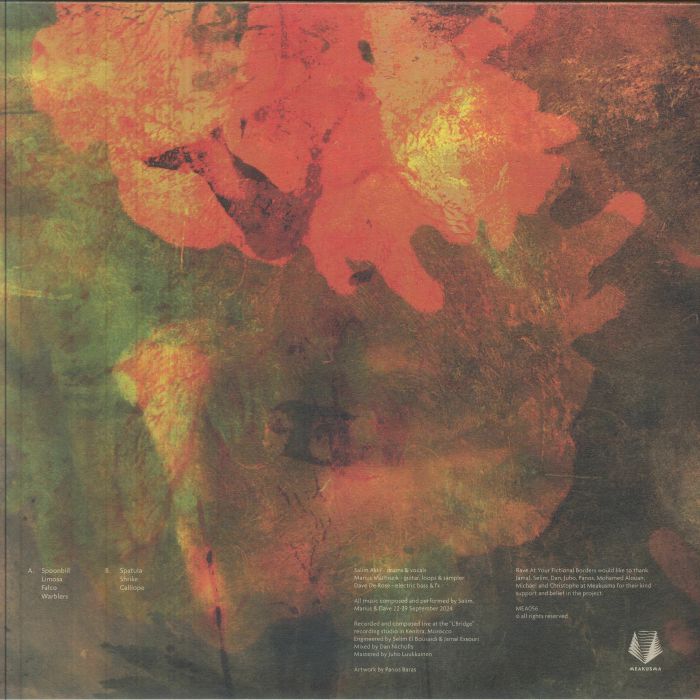 Rave At Your Fictional Borders – Analogue Nomadism (LP, Meakusma, 2026) Back Cover