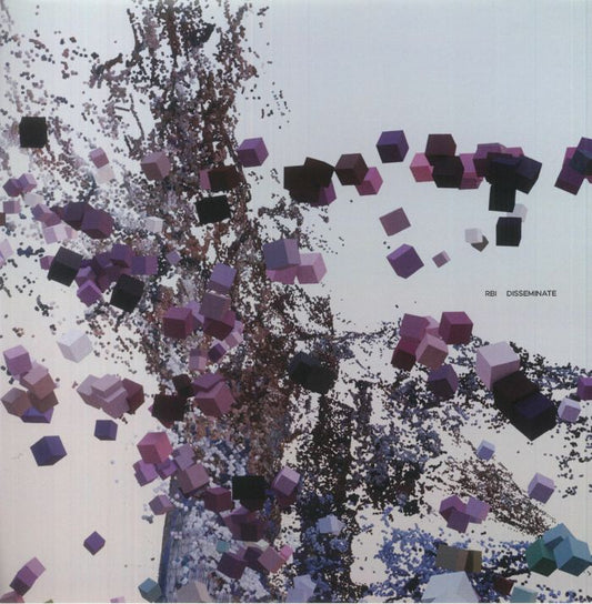 RBI – Disseminate  (12", Butter Sessions, 2025) front cover