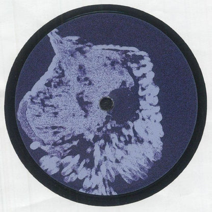 Réti Virág – Peremidő (12", Blue Sun, 2026) Front Cover