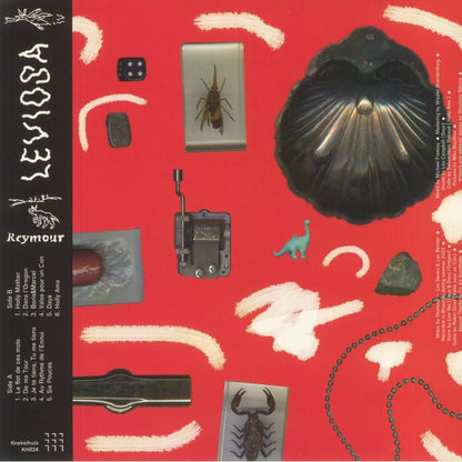 Reymour – Leviosa (LP, Knekelhuis, 2021) Back Cover