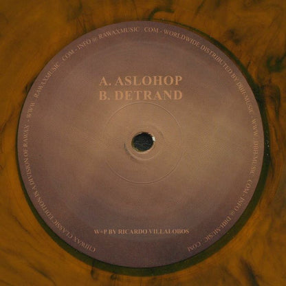 Ricardo Villalobos – AsloHop EP (12", Brown Vinyl, Rawax, 2020) Back Cover