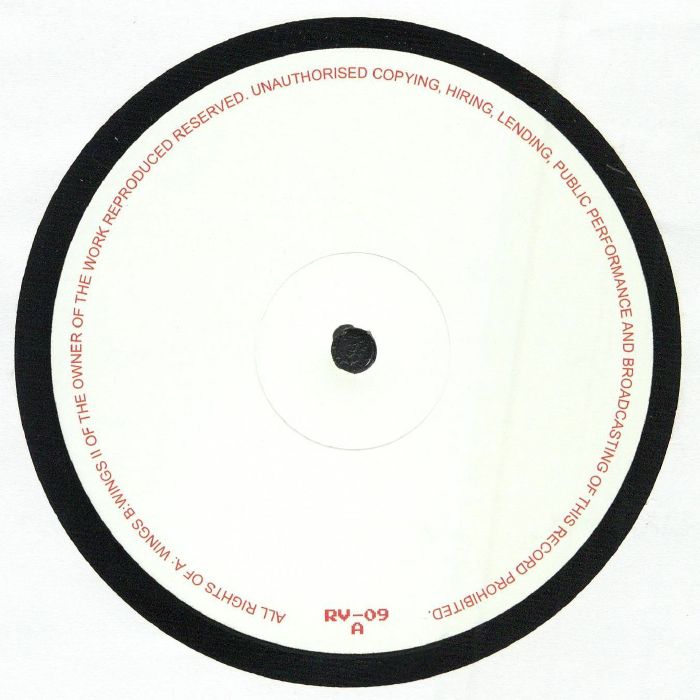 Ricardo Villalobos – Wings (12", Rawax, 2026) Front Cover