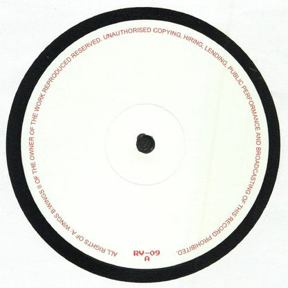 Ricardo Villalobos – Wings (12", Rawax, 2026) Front Cover