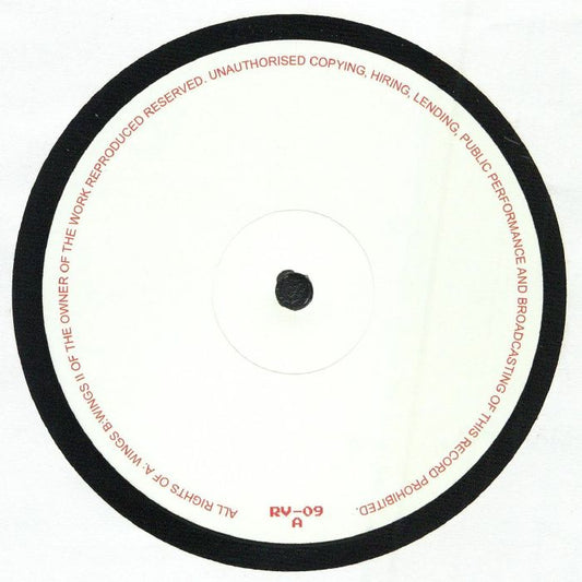 Ricardo Villalobos – Wings (12", Rawax, 2026) Front Cover