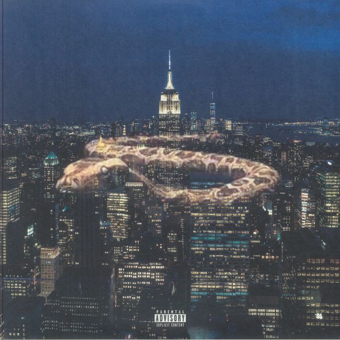 RIP Magic – 5words (12", DFA, 2026) Front Cover