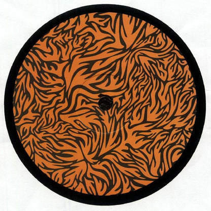 Roman Flügel – Cooking The Books EP (12", Phonica Records, 2025) Front Cover