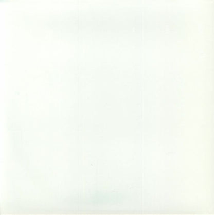 Roman Flügel – Solutions EP (12", Gray Marbled, Moozikeh Analog Room, 2026) Back Cover