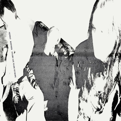 Roomer – Staircase Made Of Rope (LP, Squama, 2026) Front Cover