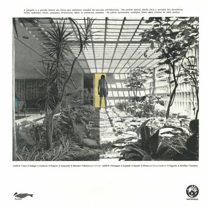 Rubel – Casas (LP, Mr Bongo, 2026) Back Cover