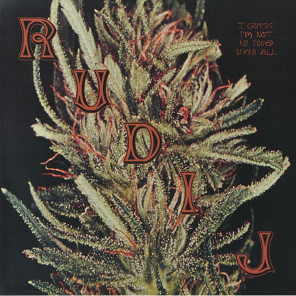 Rudi J – I Guess I'm Not In Tune After All (LP, Souvenirs From Imaginary Cities, 2026) Front Cover