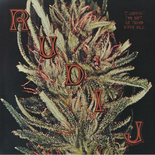Rudi J – I Guess I'm Not In Tune After All (LP, Souvenirs From Imaginary Cities, 2026) Front Cover