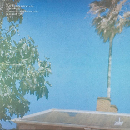 Sa Pa – Rhythm From Ambient (12", Dub Techno For Life, 2026) Back Cover